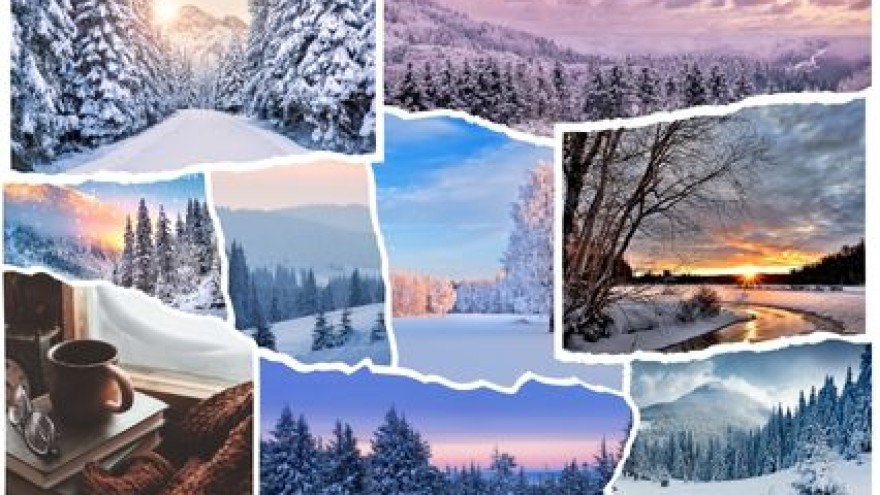 Hogyan támogasd az immunrendszered télen?