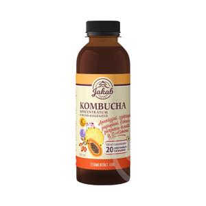 KOMBUCHA TEA KONCENTRÁTUM ANANÁSSZAL, CSIPKEBOGYÓVAL, PAPAYÁVAL, ECHINACEA PURPUREA KIVONATTAL ÉS C-